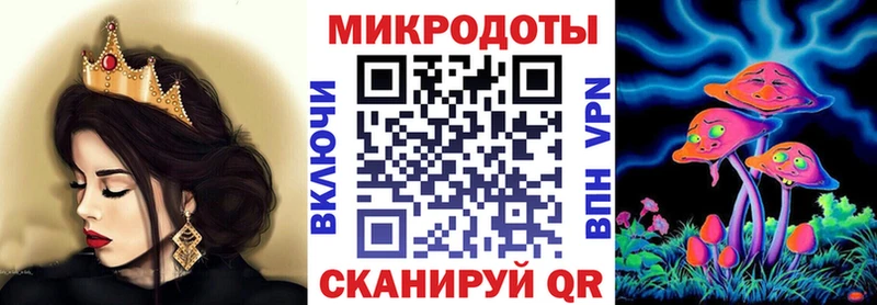 кракен ССЫЛКА Видное Псилоцибиновые грибы Psilocybe